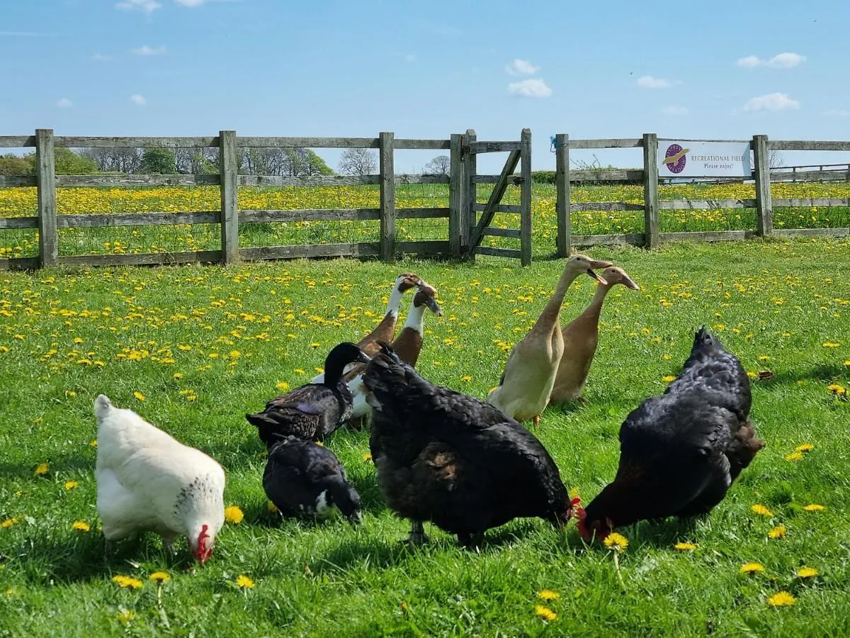 Osprey Meadow Holiday Cottages Bedale 0*,  United Kingdom